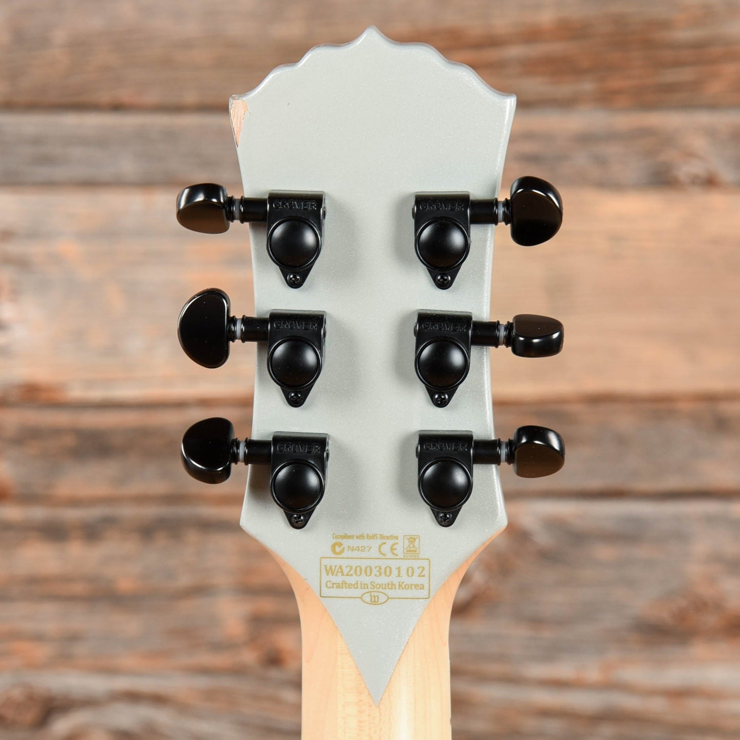 Wylde Audio Odin Grail Silver Electric Guitars / Solid Body