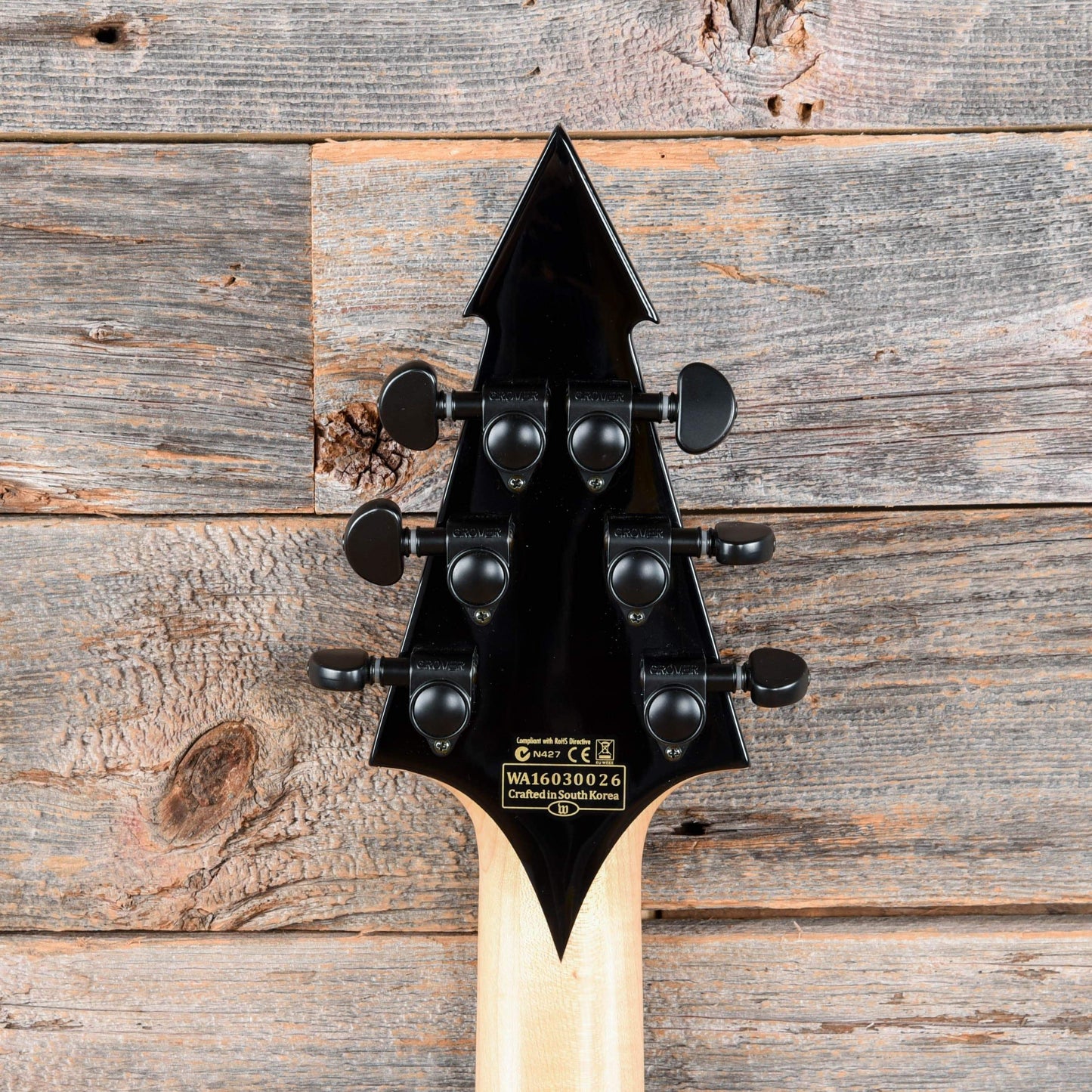 Wylde Audio Viking V with Floyd Rose Pinstripe 2016 Electric Guitars / Solid Body