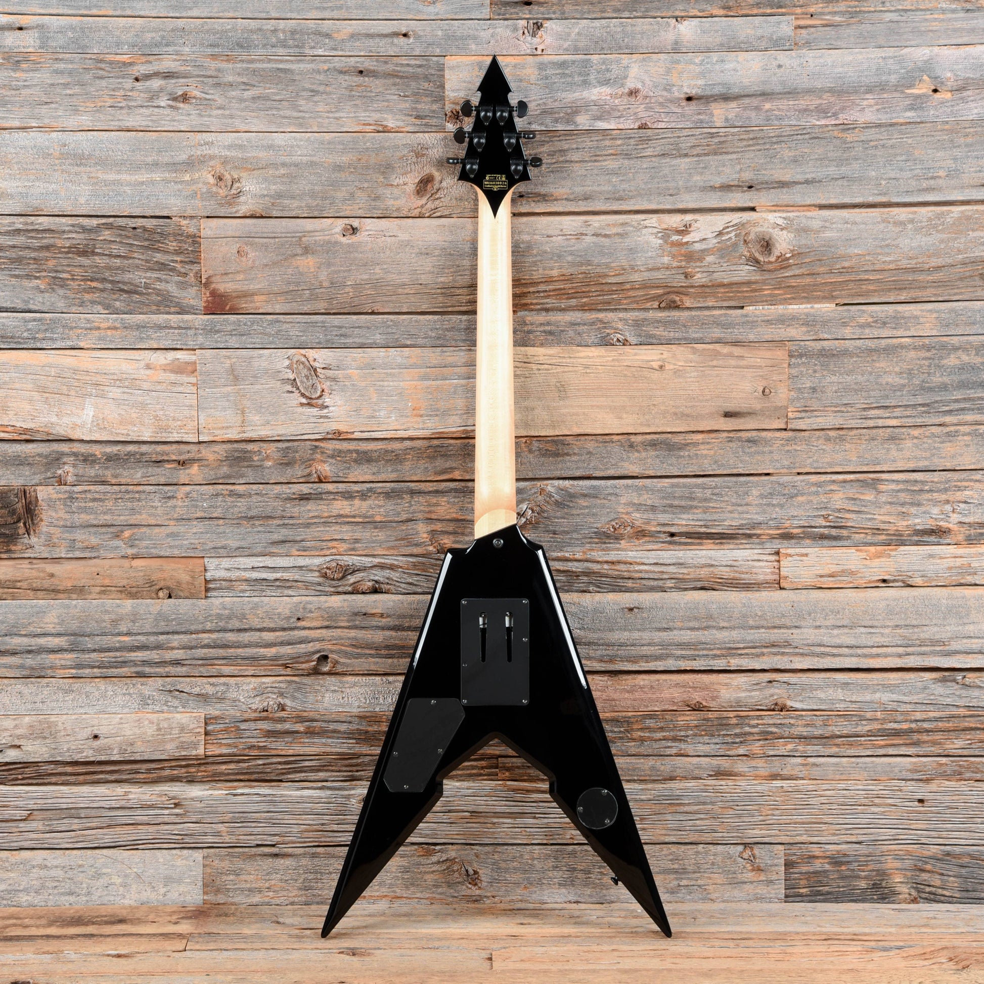 Wylde Audio Viking V with Floyd Rose Pinstripe 2016 Electric Guitars / Solid Body