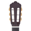 Yamaha GC12C Classical Solid Cedar/Mahogany Acoustic Guitars / Classical