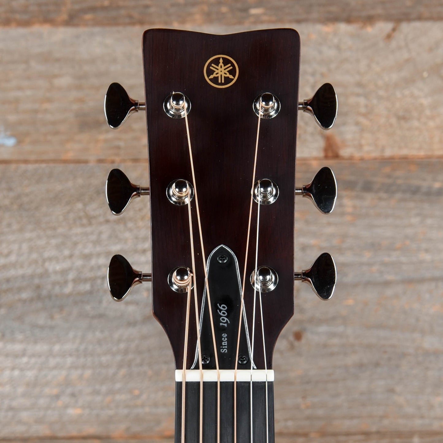 Yamaha Red Label FSX5 Natural w/Atmosfeel Pickup System Acoustic Guitars / Concert