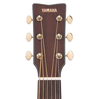 Yamaha STORIA III Concert Acoustic Chocolate Brown w/Passive Undersaddle Pickup Acoustic Guitars / Concert