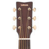 Yamaha STORIA III Concert Acoustic Chocolate Brown w/Passive Undersaddle Pickup Acoustic Guitars / Concert