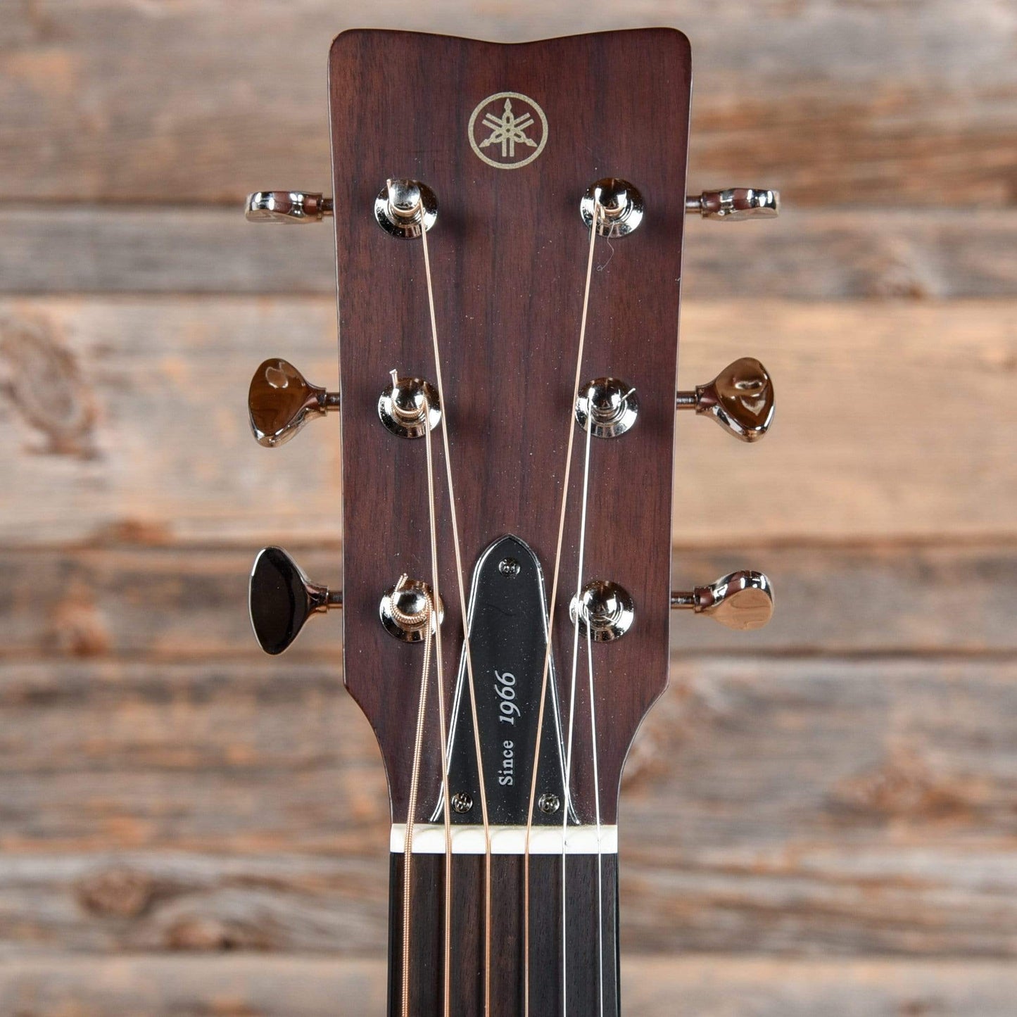 Yamaha Red Label FGX3 Natural 2019 Acoustic Guitars / Dreadnought