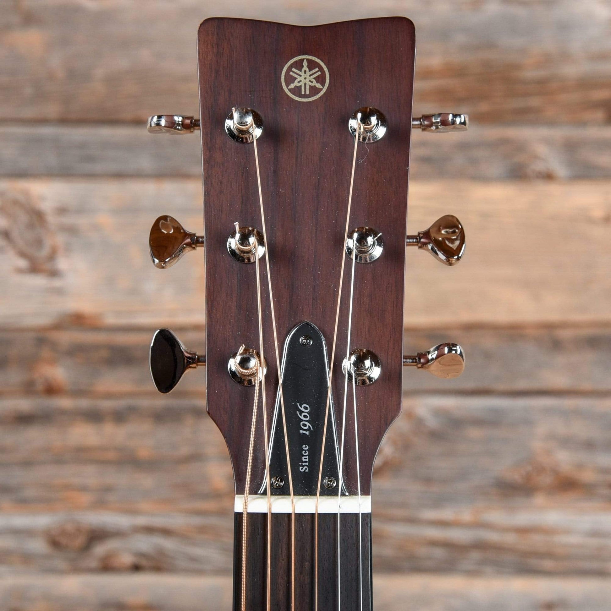 Yamaha Red Label FGX3 Natural 2019 Acoustic Guitars / Dreadnought