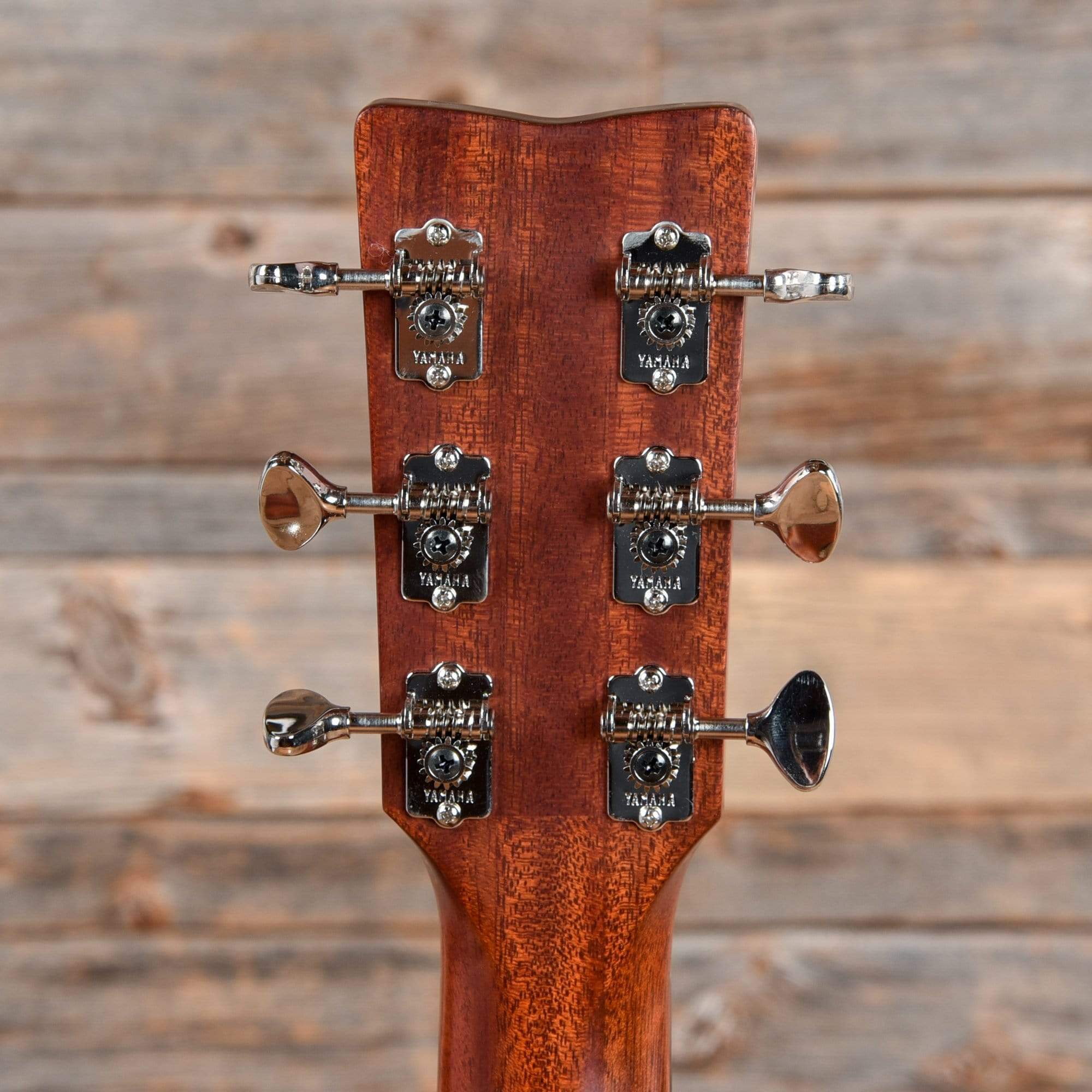 Yamaha Red Label FGX3 Natural 2019 Acoustic Guitars / Dreadnought